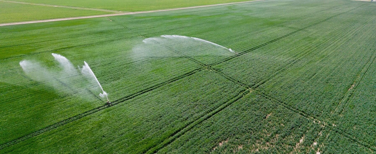 Agriculture